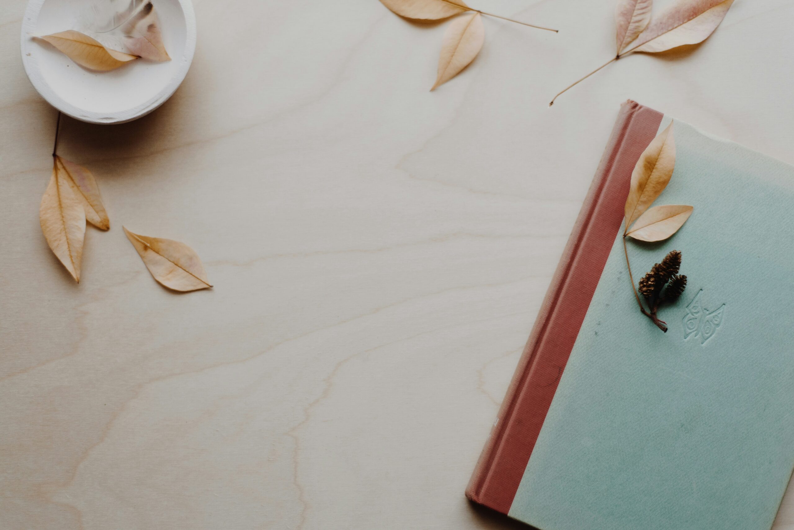 You’ve filled the pages: Now what? 5 tips for using your journal insights